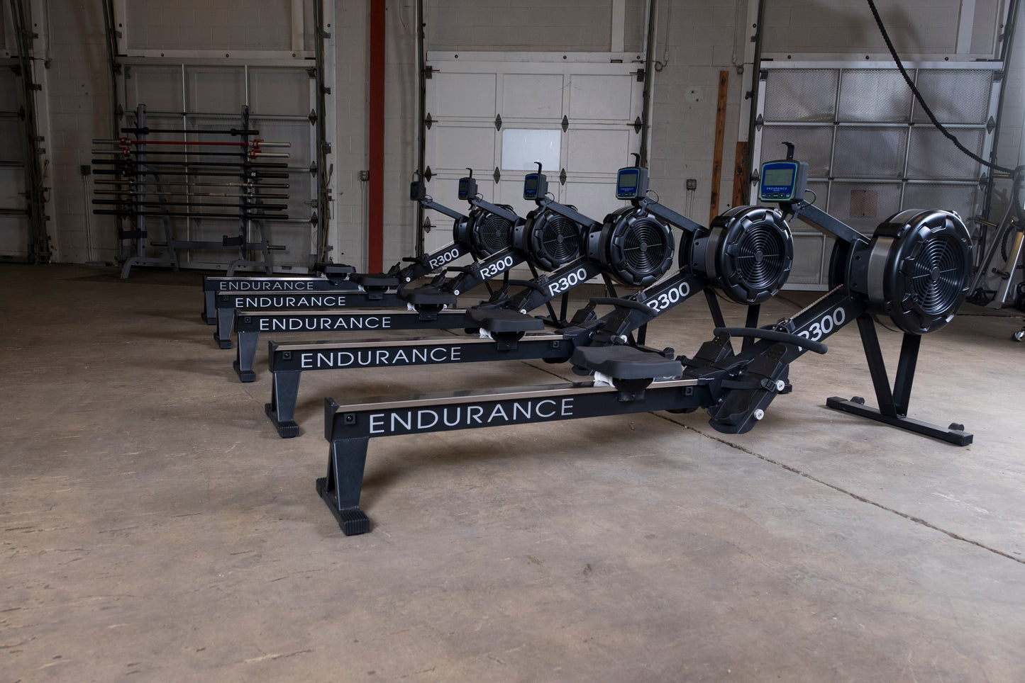 Row of Body-Solid Endurance R300 rowing machines set up in a gym