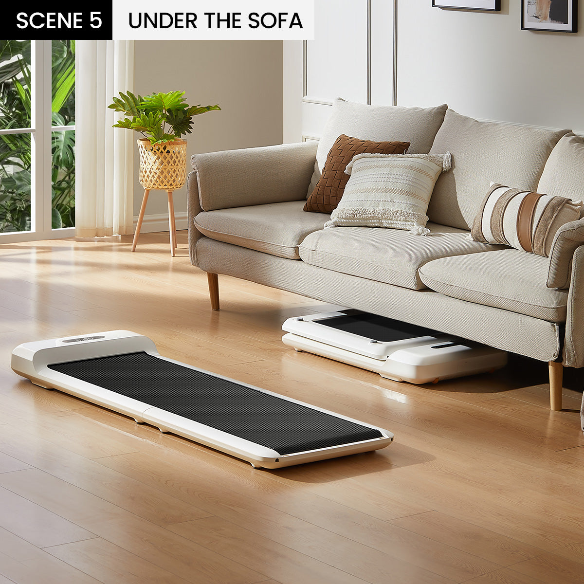 Compact WalkingPad C2 folded for easy storage under a sofa